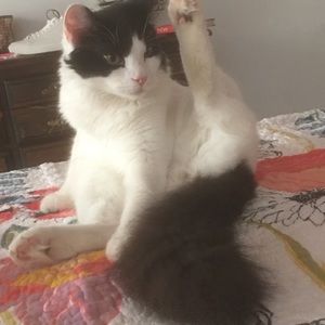 Meet your Posher, Jill